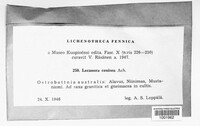 Image Associated With the Occurence